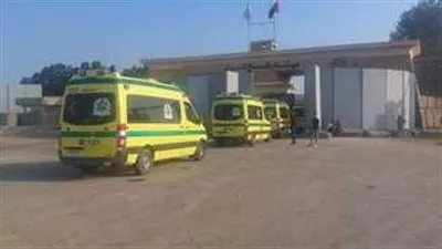 عاجل| وصول 7 مصابين قادمين من غزة إلى مستشفى الشيخ زويد وحالتين للعريش العام