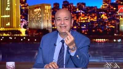 أديب عن انزال الأردن مساعدات بالمظلات لغزة: إننا كأمة عربية نستهون بقدرتنا