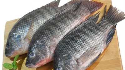 أسعار الأسماك اليوم الثلاثاء في محافظة الغربية 