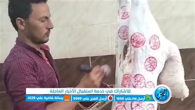 سرقة أختام مجزر بالمنوفية.. والأمن يكثف جهوده لضبط الجناة
