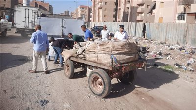 محافظة الجيزة تغلق مخزن للكراتين والخردة داخل الكتلة السكنية بالمنيرة