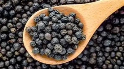 كل ما تريد معرفته فوائد الفلفل الاسود 