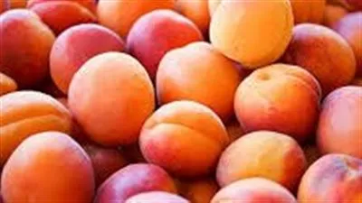 كل ما تريد معرفته عن المشمش