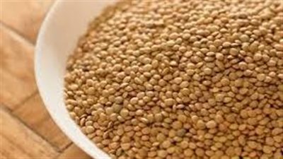 كل ما تريد معرفته عن العدس