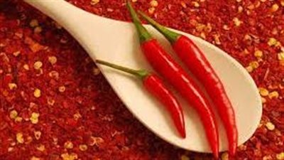 كل ما تريد معرفته الشطة