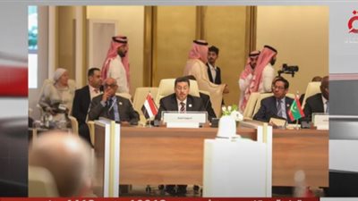 جمع أدلة لجرائم إسرائيل.. بيان وزراء الخارجية العرب بشأن أحداث غزة (فيديو)