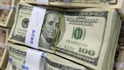 استقرار سعر الدولار في البنوك المصرية (تحديثات سعر الدولار السبت ١١ نوفمبر)