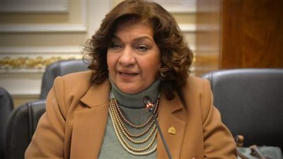 برلمانية تتقدم بـ 