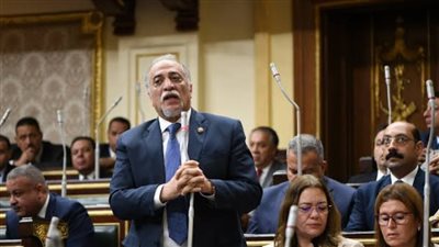 بعد اختياره رئيسا لبرلمانية مستقبل وطن.. من هو عبد الهادي القصبي؟