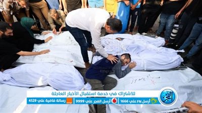 (كلاب تأكل الموتى وحوامل في خطر) الصحة الفلسطينية تكشف جرائم الاحتلال في مستشفيات غزة 