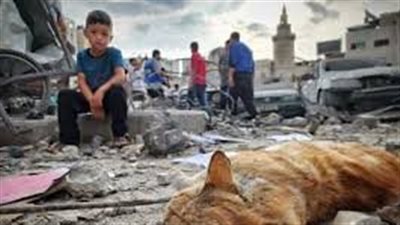 ادعيه مستجابه عند نزول المطر للأطفال الرضع في غزة