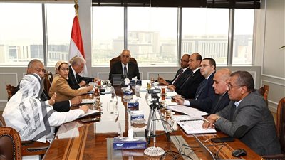 وزير الإسكان ومحافظ جنوب سيناء يتابعان المشروعات المشتركة 