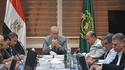 محافظ القليوبية: تجهيز 366 مقرا انتخابيا و484 لجنة فرعية