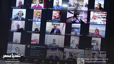 للمرة الثالثة.. حملة السيسي تلتقي بالمصريين في الخارج عبر 