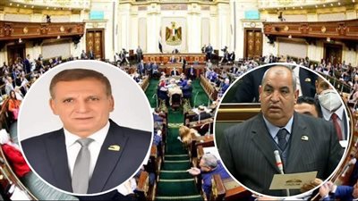 ما هي الزراعة الذكية وكيف تستفيد منها مصر؟.. نواب يجيبون