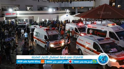 مدير مستشفى الهلال الأحمر في غزة: توقف الخدمات الطبية بشمال القطاع (فيديو)