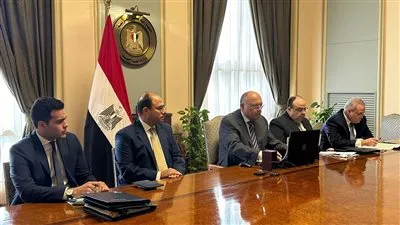 وزير الخارجية: مصر تستمر في جهودها الدؤوبة لوقف الصراع الدائر بالسودان