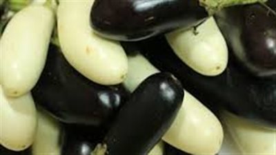 فوائد الباذنجان للجسم.. داعم لصحة القلب والمخ والجهاز الهضمي