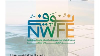 غدًا.. التعاون الدولي تُطلق تقرير المتابعة الأول للمنصة الوطنية لبرنامج 