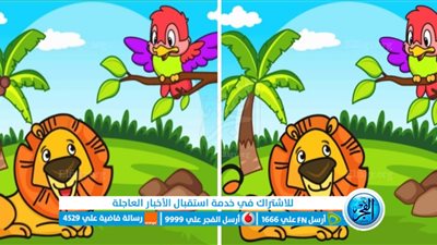 للاذكياء فقط.. أوجد ٨ اختلافات بين الصورتين في غضون ثواني