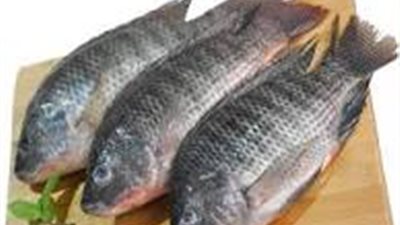 أسعار السمك في أسوان اليوم الجمعة 07/11/2025