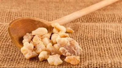 فوائد لبان الذكر للشعر.. دليل شامل للعناية بالشعر