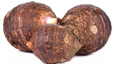 هل يمكن تناول القلقاس نيئًا؟