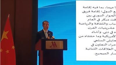 السفارة الصينية بالقاهرة تنظم حفلا للصداقة مع وسائل الإعلام ومراكز الفكر الصينية والمصرية