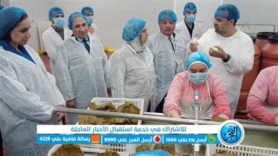 رئيس الهيئة العامة للتنمية تتفقد المناطق الصناعية بالبحيرة (صور)
