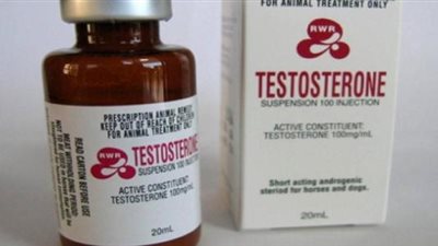 تأثير الأطعمة على زيادة هرمون التستوستيرون في الجسم