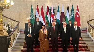 شكري: الكارثة الإنسانية بغزة تفرض العديد من التساؤلات حول صمت الأطراف الدولية  