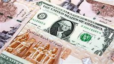  الدولار عدى الحدود.. سعر الدولار اليوم في السوق السوداء 