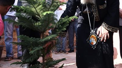 البابا يفتتح 