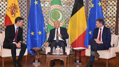 أبو الغيط يستقبل رئيسي وزراء إسبانيا وبلجيكا ويُعرب عن تقديره لمواقفهما بشأن غزة