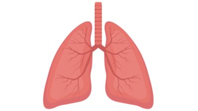 ما هي أمراض الرئة وكيف تتغلب عليها؟