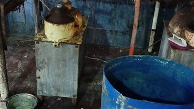 الرقابة على الأغذية تغلق 71 منشأة من أصل 359 فحصتها بحملة مكبرة بالدقهلية 