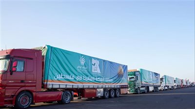  المجلس الدولي لحقوق الإنسان: المساعدات التي تصل غزة غير كافية (فيديو)