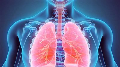 أخطر من الإيدز وكورونا.. ماذا تقول 