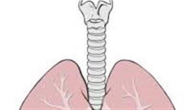 ما هو التهاب القصبة الهوائية وأعراضها وأسبابها