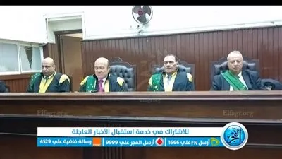 المشدد 5 سنوات لعامل شرع في سرقة توكتوك بإمبابة (فيديو)