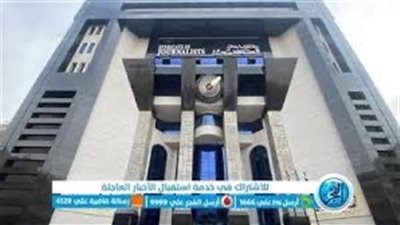 انضمام نقابة الصحفيين المصريين للاتحاد الدولى بإجماع الآراء