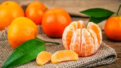 يدخل ضمن النظام الغذائي لمرضى السكري..تعرف على الفوائد الصحية لتناول فاكهة اليوسفي