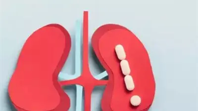 تفاصيل حول مستويات الكرياتينين لديك ونصائح لصحة الكلى