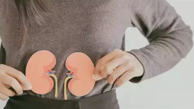 حافظ على صحة الكلى ومستويات الكرياتينين لديك بهذه الإجراءات البسيطة