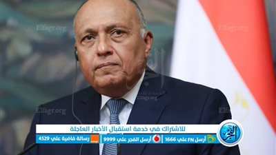 سامح شكري بطل.. قيادي سابق بالداخلية: موقف مصر تجاه غزة ضمان للأمن القومي العربي (فيديو)