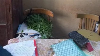 إحالة مدير مدرسة فى الدقهلية و2 آخرين للشئون القانونية لسبب صادم