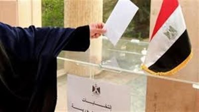  كازاخستان وبنجلاديش وسريلانكا والهند.. انطلاق تصويت المصريين في الخارج