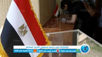 عضو الجالية المصرية في ألمانيا: المصريون اصطفوا أمام صناديق الاقتراع في مشهد مشرف