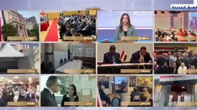 سفير مصر في كوريا الجنوبية: عملية التصويت تجري بسهولة ويسر دون أية معوقات