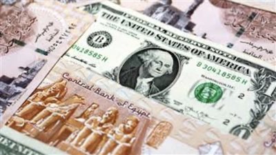 عاجل| بنك مصري جديد يحصل علي قرض دولار 